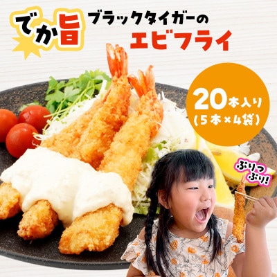 ł|!ubN^CK[̃GrtC 20{Zbg 18`20cm W{GrtCyzsnFzy1650576z茧{Îs22000ZbgE؁EHHi