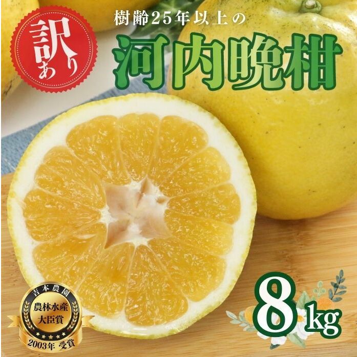 【訳あり】河内晩柑 8kg  (発送8/1〜なくなり次第終了) 樹齢25年以上 愛南ゴールド愛媛県愛南町7000果物・フルーツみかん・柑橘類