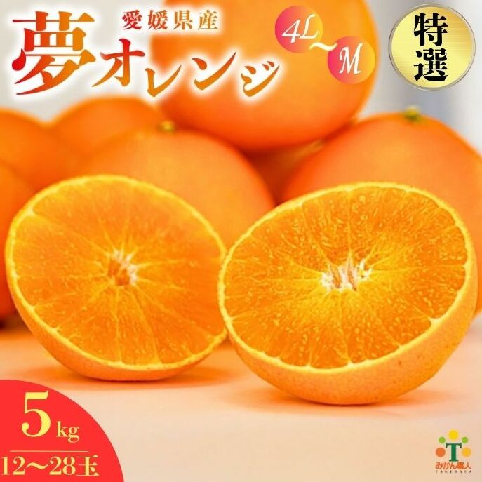 【特選品】 みかん職人の夢オレンジ 5kg 【発送期間:2025年11月中旬〜なくなり次第終了】 みかん 愛果28号 紅マドンナ と同品種 紅まどんな と同品種 柑橘 果物 果実 フルーツ かんきつ デ