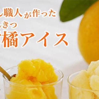 みかん職人が作った柑橘アイス1000ml×2種(河内晩柑・しらぬい)愛媛県愛南町10000菓子・スイーツアイス・ジェラート