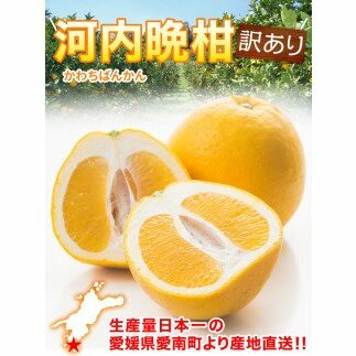 【訳あり】清家ばんかんビレッジの河内晩柑7kg (なくなり次第終了)愛媛県愛南町7000果物・フルーツみかん・柑橘類