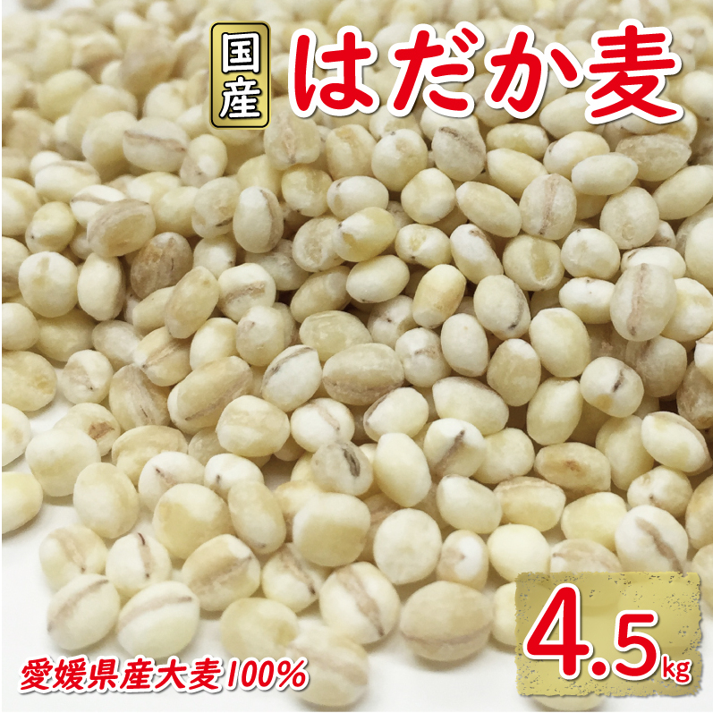͂ 900g 5Zbg 10000~ Y 唞  ͂ ނ͂ n H@  _CGbg N }XX 쒬 QQ쒬10000āEpāEGāEāE