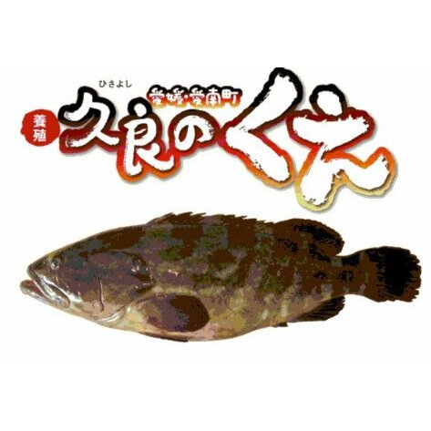 v   1 i 2.5kg j 52000~  1C hg hg {B   N ①  NG  NG  CN N CN vǋƋg 쒬 QQ쒬520