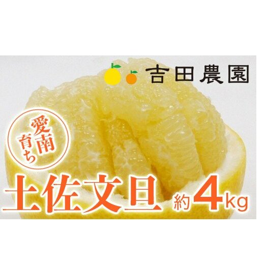 ʌ s\ yU 4kg 8000~ ݂ U Ԃ񂽂 Y Yn _ƒ Ԍ r^~ Yi lC  ₩ Â t[c ʕ ʎ k  x ʎ 