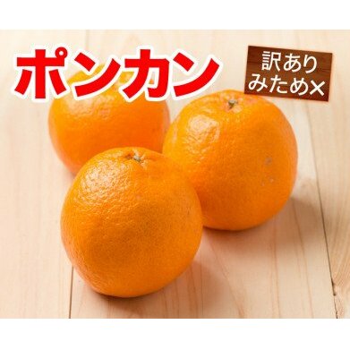 【訳あり】清家ばんかんビレッジのポンカン10kg愛媛県愛南町10000果物・フルーツみかん・柑橘類