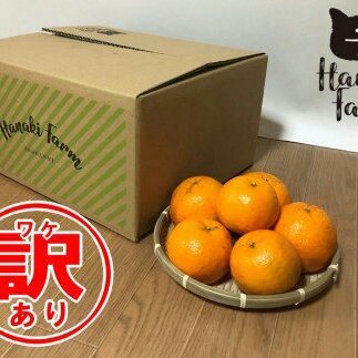 【訳あり】はなきファームのバイオ農法ポンカン約60〜80個愛媛県愛南町14000果物・フルーツみかん・柑橘類