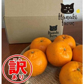 【訳あり】はなきファームのバイオ農法ポンカン約20〜30個愛媛県愛南町7000果物・フルーツみかん・柑橘類