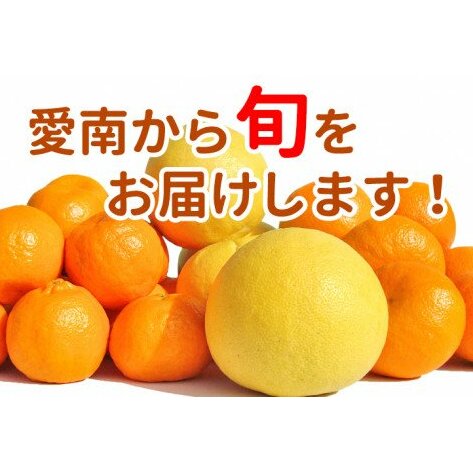清家ばんかんビレッジの旬の柑橘詰め合わせ 5kg 発送期間: 12月20日〜4月30日愛媛県愛南町10000果物・フルーツみかん・柑橘類