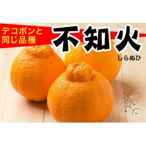 清家ばんかんビレッジの凸不知火5kg愛媛県愛南町10000果物・フルーツみかん・柑橘類