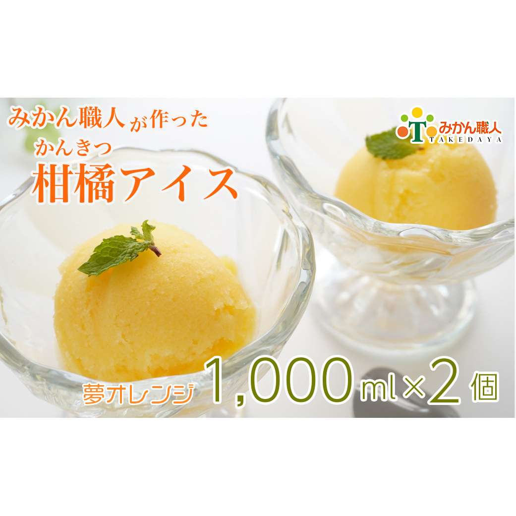 みかん職人が作った柑橘アイス1000ml×2(夢オレンジ×2)愛媛県愛南町10000菓子・スイーツアイス・ジェラート