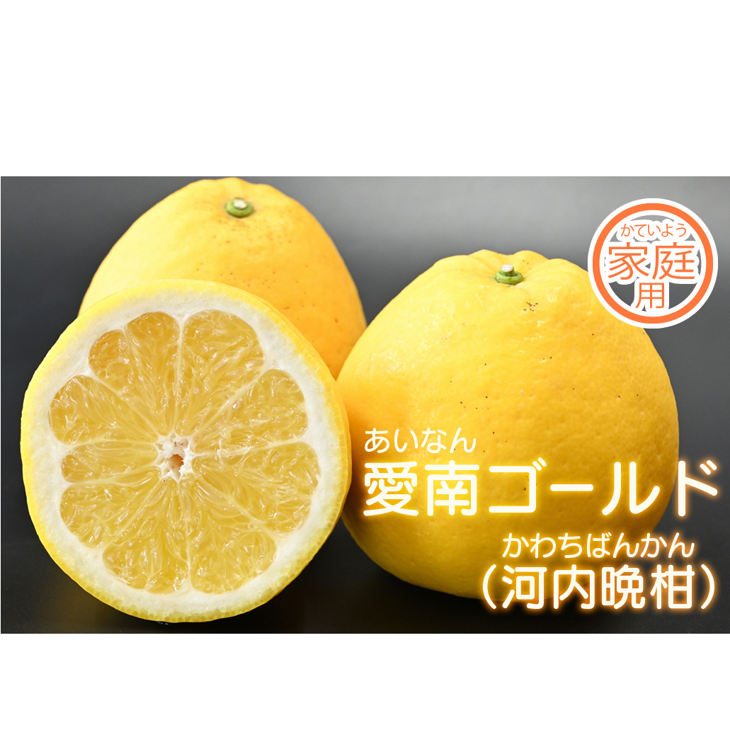 yƒpzt[c̈S[hi͓ӊj5kg (ȂȂ莟I)Q쒬7000ʕEt[c݂Ek