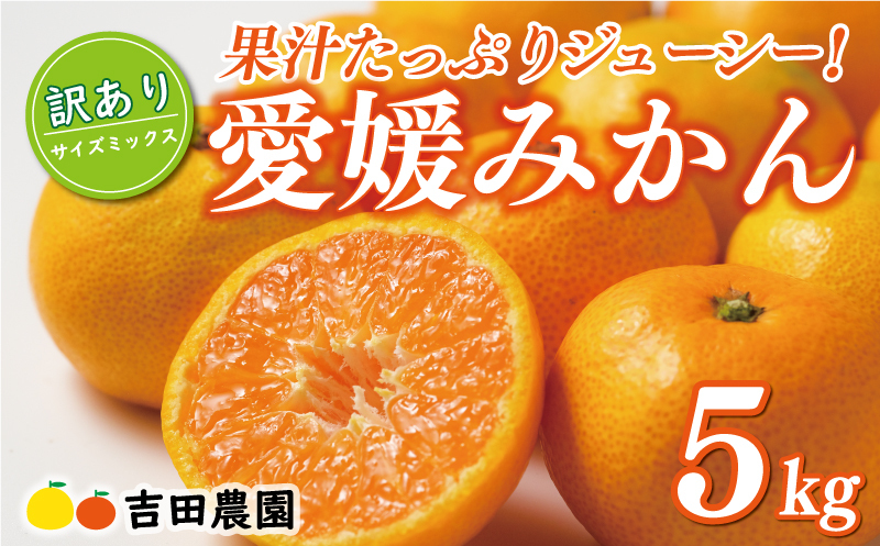 先行予約 訳あり 愛媛みかん 5kg 10000円 愛媛 みかん 温州みかん こたつ みかん mikan 蜜柑 ミカン 家庭用 産地直送 国産 農家直送 糖度 期間限定 数量限定 特産品 ゼリー ジュース アイス 人気
