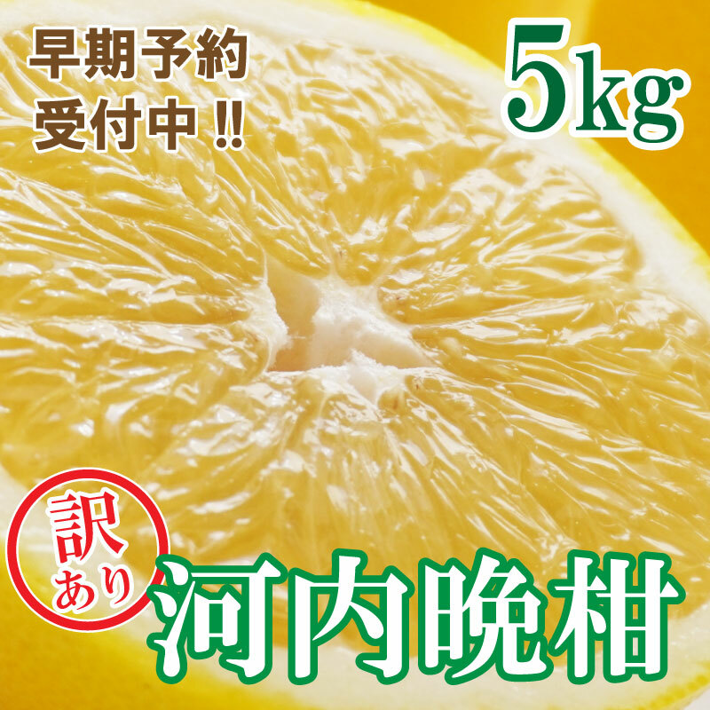 【訳あり】フルーツアイランド・マルエム青果の河内晩柑 5kg (なくなり次第終了)愛媛県愛南町5000果物・フルーツ