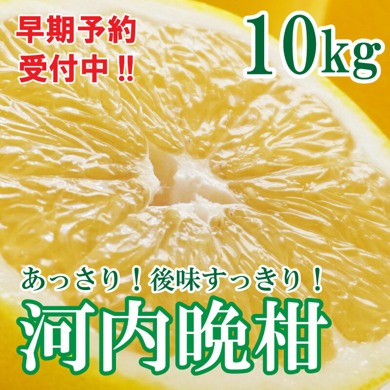 フルーツアイランド・マルエム青果の河内晩柑 10kg (なくなり次第終了)愛媛県愛南町15000果物・フルーツ