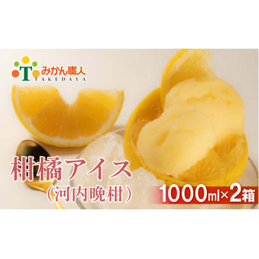 みかん職人が作った柑橘アイス1000ml×2(河内晩柑×2)愛媛県愛南町10000菓子・スイーツアイス・ジェラート