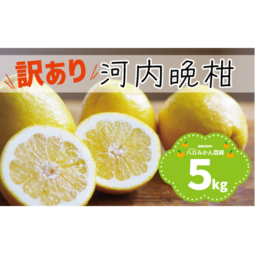 【 訳あり 】 河内晩柑 5kg 先行予約  八百みかん農園 の かわちばんかん 7000円 家庭用 5kg 先行 事前 予約 受付 みかん 愛南ゴールド 美生柑 文旦 グレープフルーツ 和製 防腐剤不使用 愛媛 産