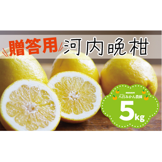 【 贈答用 】 河内晩柑 5kg 先行予約  八百みかん農園 の かわちばんかん 9000円 家庭用 5kg 先行 事前 予約 受付 ギフト みかん 愛南ゴールド 美生柑 文旦 グレープフルーツ 和製 防腐剤不使用