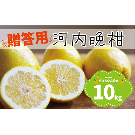 【 贈答用 】 河内晩柑 10kg 先行予約  八百みかん農園 の かわちばんかん 15000円 家庭用 先行 事前 予約 受付 みかん 愛南ゴールド 美生柑 文旦 グレープフルーツ 和製 防腐剤不使用 ギフト 愛