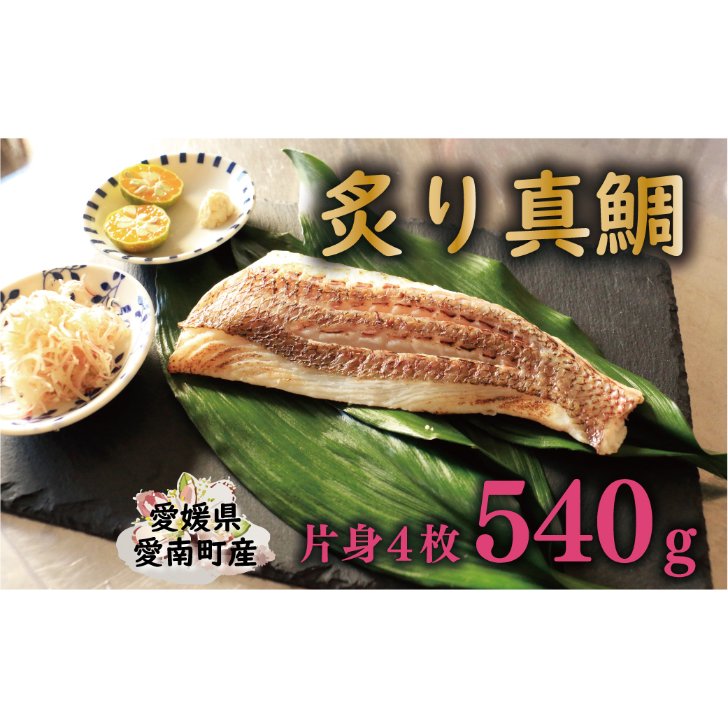 炙り 真鯛 切り身 4柵 合計 540g ( 270g ×2 パック ) 朝〆 まだい 鯛 愛南町 新鮮 冷凍 愛媛県 神経締め 皮引き 三枚おろし 国産 魚介 特産品 魚介類 海産物 鮮魚 養殖 産地直送 海鮮 ブランド