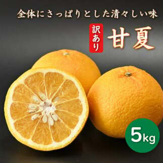 先行予約 訳あり 減農薬 甘夏 5kg 愛南フルーツ サイズミックス サイズ混合 不揃い 柑橘 蜜柑 愛媛 みかん あまなつ 産地 産直 発送期間:2024年2月20日〜 4月20日愛媛県愛南町7000果物・フルー