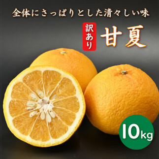 先行予約 訳あり 減農薬 甘夏 10kg 愛南フルーツ サイズミックス サイズ混合 不揃い 柑橘 蜜柑 愛媛 みかん あまなつ 果物 フルーツ 産地 産直 発送期間:2024年2月20日〜 4月20日愛媛県愛南町100