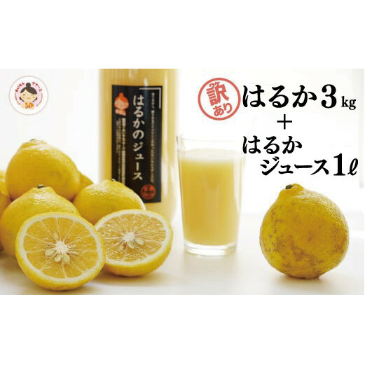 【 訳あり 】先行予約 あいなんマザーズ の 完熟 はるか 3kg + はるか ジュース 1本 セット 訳あり 3kg 1L みかん 先行 事前 予約 はるか 愛媛 産地直送 国産 農家直送 減農薬 完熟 香り 糖度 濃