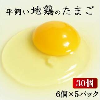 n{̂܂ 30 6×5pbN ܂  ʎq  {  肨͂ n{  { m Ȃ  Q 쒬 P[L َq  uh   [JX^_[h