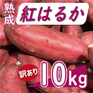 訳あり 熟成 紅はるか 10kg サイズ混合 サツマイモ 焼き芋 干し芋 丸干し 冷凍焼き芋 冷やし焼き芋 やきいも 蜜芋 ほしいも スイートポテト フライドポテト いも天 サイズミックス  甘い ねっ