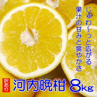【訳あり】 吉本農園の木取り完熟愛南ゴールド( 河内晩柑 )8kg 柑橘 みかん グレープフルーツ ゼリー ジュース アイス 果物 フルーツ 健康 美容 ビタミン クエン酸 訳あり サイズミックス