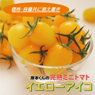 岸本くんの完熟ミニトマト イエローアイコ 180gパック×8 発送期間:2025年12月1日〜2026年5月10日愛媛県愛南町8000野菜・きのこトマト