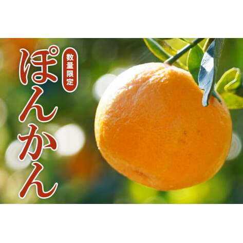 y s\ z ʎ݂ǂ  30N ۂ񂩂 6kg i ƒp ~bNX  j ƒp 6kg s O \ t ݂ ۂ񂩂 Q Yn Y _ƒ x Ö ʎ Ԍ 