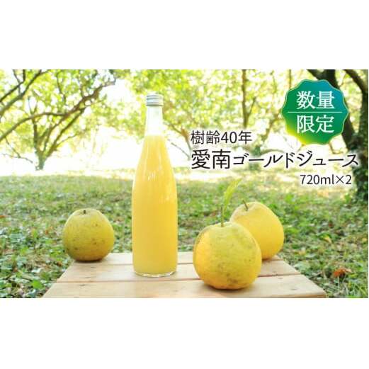樹齢40年 愛南ゴールドジュース 720ml × 2本 河内晩柑 愛南ゴールド 焼酎 蒸留酒 果汁 無添加 ジュース 贈答 ギフト プレゼント 河内晩柑 ばんかん 柑橘 かんきつ 果汁 100% 愛媛 みかん 蜜柑 ゼ