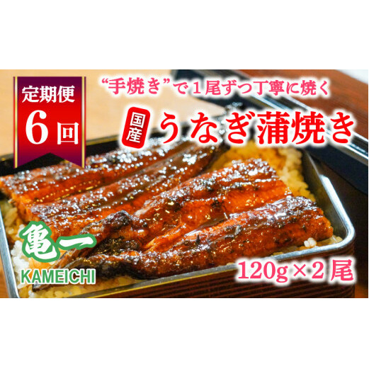  6 Ȃ  120g 2{ V T Ă V ^ ZbgQ쒬102000ECYȂ