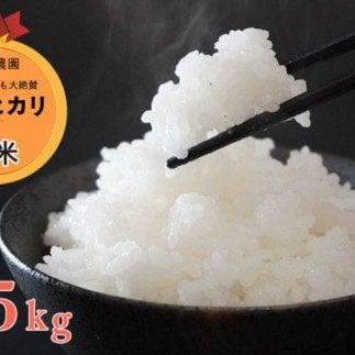 ߘa 5N V 6.5kg g{_     Y RVqJ uh  ߂Ă  | Â Q 쒬 ԁF820`Q쒬10000āEp