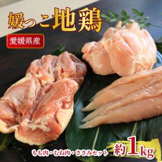 地鶏 愛媛 媛っこ地鶏 もも むね ささみセット 約1kg 鶏肉 鳥肉 肉 チキン むね肉 もも肉  焼肉 焼き鳥  BBQ 冷凍 国産 高級 タンパク質 低脂肪 糖質 唐揚げ チキン南蛮 サラダチキン スープ 出