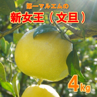 【 数量限定 】 秀品 贈答用 文旦 新女王 4kg (発送期間:2月下旬〜3月中旬頃) 7000円 先行 事前 予約 受付 みかん ぶんたん 愛南ゴールド 河内晩柑 かわちばんかん 美生柑 文旦 グレープフル