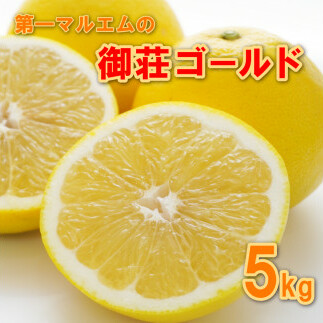先行予約 御荘ゴールド (河内晩柑) 秀品 5kg 第一マルエム 減農薬 柑橘 フルーツ 愛媛県 愛南町 発送期間:2025年3月中旬〜2025年4月下旬愛媛県愛南町8000果物・フルーツみかん・柑橘類