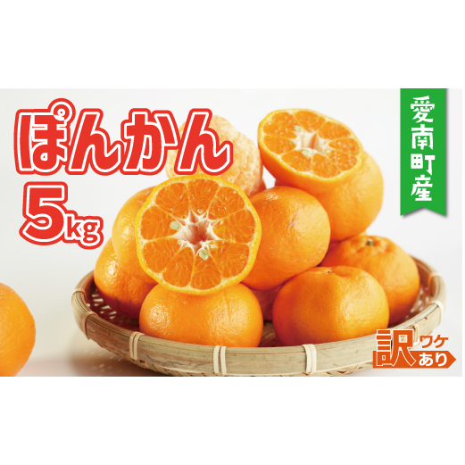 訳あり 家庭用 ぽんかん 5kg サイズ混合 7000円 みかん ポンカン ミカン mikan 国産 期間限定 数量限定 特産品 ジュース 人気 限定 愛南  新鮮 果実 さわやか 風味 甘い フルーツ 果物 柑橘 蜜柑