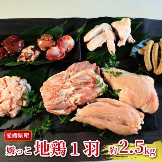 地鶏 愛媛 媛っこ地鶏 1羽セット 約2.5kg 鶏肉 鳥肉 肉 チキン むね肉 もも肉 ささみ レバー せせり ハツ 砂肝 焼肉 焼き鳥  BBQ 冷凍 国産 高級 タンパク質 低脂肪 糖質 唐揚げ チキン南蛮 サラ