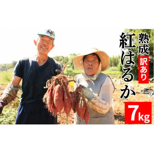 訳あり 熟成 紅はるか 7kg 2S〜3Lサイズ さつまいも いも 低温熟成 完全熟成収穫 甘い 糖度 焼き芋 やきいも スイートポテト おやつ サイズミックス 2S〜3Lサイズ 高糖度 料理 国産 愛媛県 愛南
