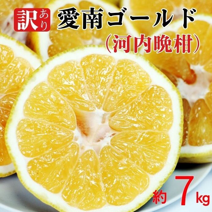 訳あり 愛南ゴールド ( 河内晩柑 )  7kg みかん 蜜柑 河内晩柑 和製 グレープフルーツ 傷 不揃い 規格外 常温 愛媛県 愛南町青果市場 発送: 4月上旬〜なくなり次第終了愛媛県愛南町7000果物・フ