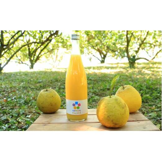 訳あり 愛南ゴールド5kgと愛南ゴールドジュース 720ml1本のセット みかん 蜜柑 河内晩柑 愛南ゴールド 果物 フルーツ 果汁 無添加 ジュース ゼリー アイス 柑橘 かんきつ 果汁 100% 国産 愛媛県