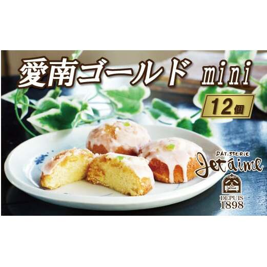 愛南ゴールド mini 12個 セット 10000円 菓子 スイーツ ケーキ 焼き菓子愛媛県愛南町10000菓子・スイーツその他 洋菓子