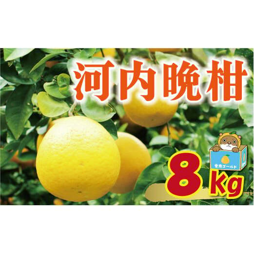 󂠂 ͓ӊ 8kg 7000~ ݂ 킿΂񂩂 S[h Ȃ S[h  U O[vt[c a ƒp Yn Y _ƒ Ԍ ʌ r^~ Yi