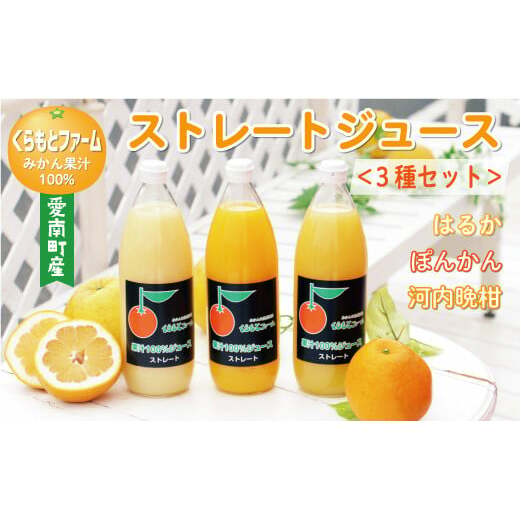 ݂ ʏ` 100% Xg[g W[X 3{ Zbg i 1000ml × 3{ j ۂ񂩂 ͂邩 ͓ӊ S[h 10000~ 1~ ʌ Ԍ   Mtg v[g ̓ hV̓ 