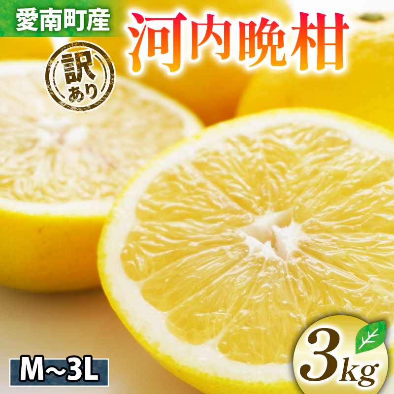 【 2026年 先行予約 】 訳あり 河内晩柑 3kg サイズミックス お試し 家庭用 樹齢 20年 以上 古木 和製 グレープフルーツ 愛南ゴールド 直送  フルーツ 人気 柑橘 爽やか 甘み ジューシー 果汁 旬