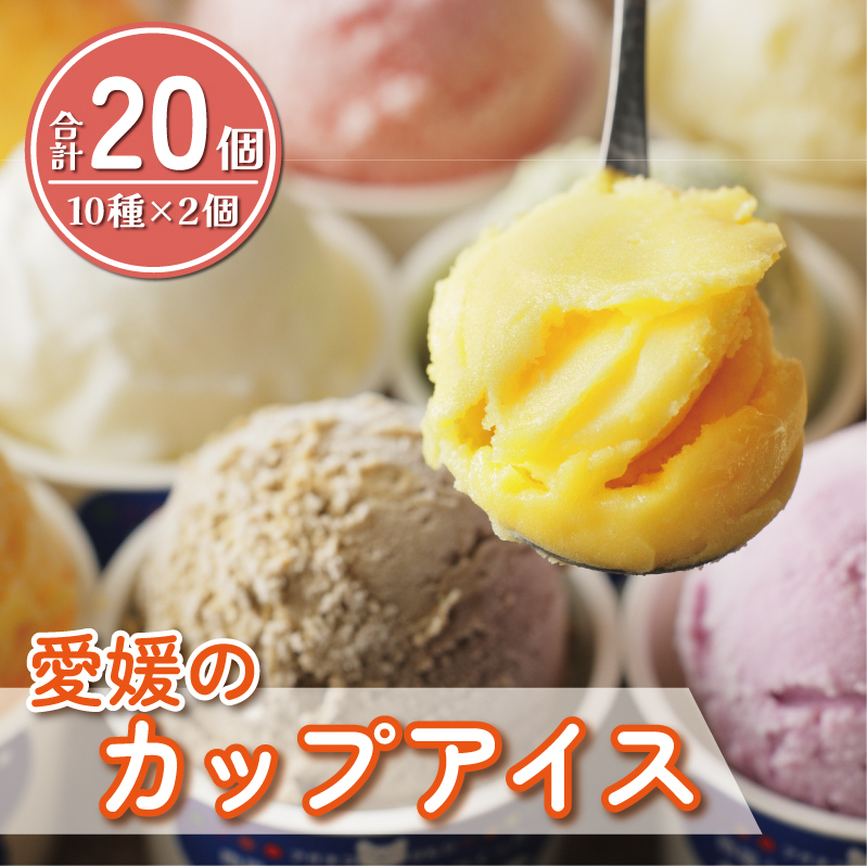 愛媛 の カップ アイス 20個 ( 10種 × 2個 ) 食べ比べ セット 温州 みかん 不知火 ポンカン はるか 美生柑 河内晩柑 紅まどんな 牛乳 いちじく 苺 紅茶 レモン キウイ いちご 久万茶 ブルーベ