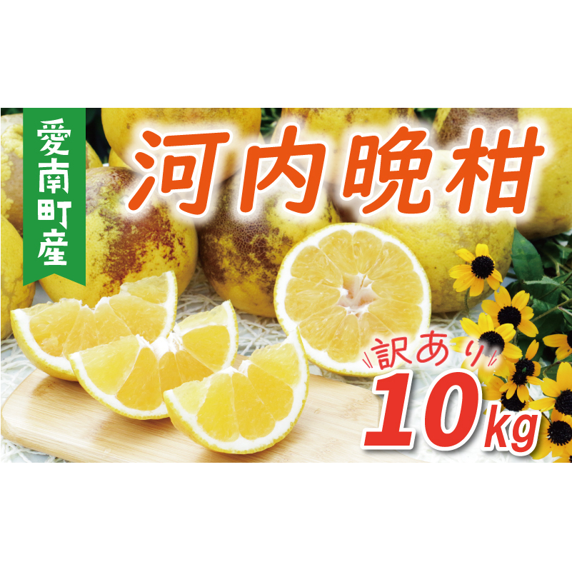 訳あり 河内晩柑 樹齢 30年以上 10kg ( サイズ おまかせ ) 7000円 みかん かわちばんかん 愛南ゴールド あいなん ゴールド 美生柑 文旦 グレープフルーツ 和製 家庭用 産地直送 国産 農家直送