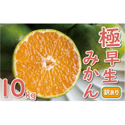 s\ 󂠂 ɑ B݂ 10kg 12000~ Q ݂  ݂ ƒp Yn Y _ƒ x ʎ Ԍ ʌ Yi [[ W[X ACX lC  Â 
