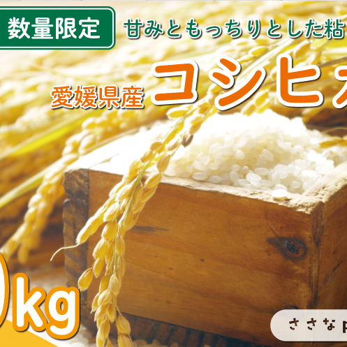 新米 令和6年産 コシヒカリ 10kg 12000円 お米 白米 こしひかり 米 こめ 精米 産地直送 国産 農家直送 期間限定 数量限定 特産品 令和6年度産 2024年産 新品種 大粒 もっちり 粘り 甘み おいしい